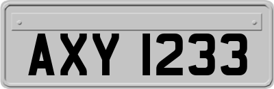 AXY1233
