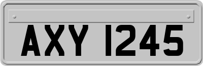 AXY1245