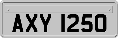 AXY1250