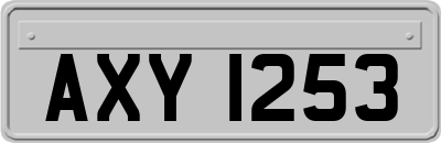 AXY1253