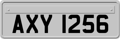 AXY1256
