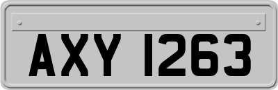 AXY1263