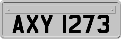 AXY1273