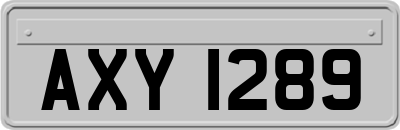AXY1289