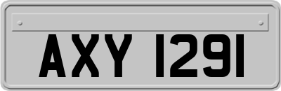AXY1291