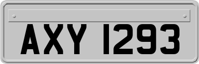 AXY1293