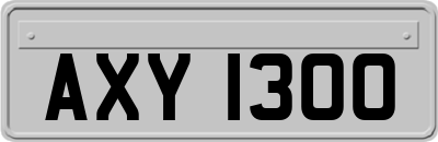 AXY1300