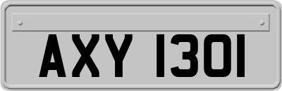 AXY1301