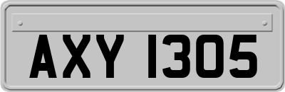 AXY1305