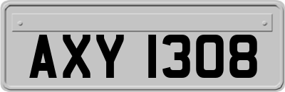 AXY1308
