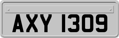 AXY1309