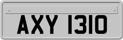 AXY1310
