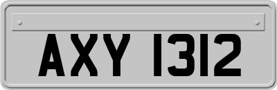 AXY1312