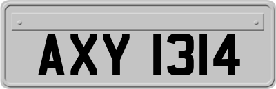 AXY1314