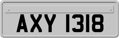 AXY1318