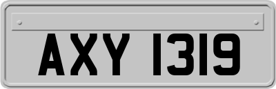 AXY1319
