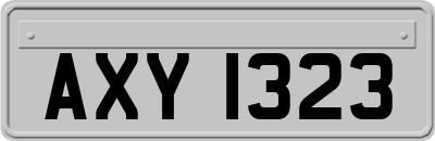 AXY1323
