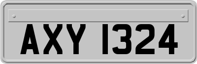 AXY1324