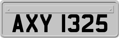AXY1325