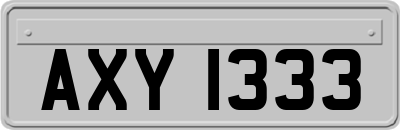AXY1333