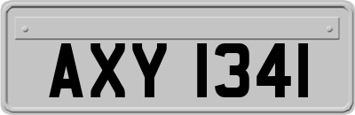 AXY1341