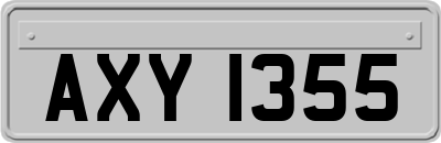 AXY1355