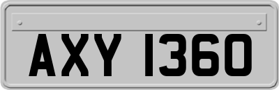 AXY1360