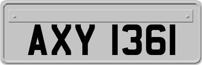 AXY1361