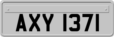 AXY1371