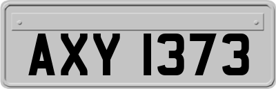 AXY1373