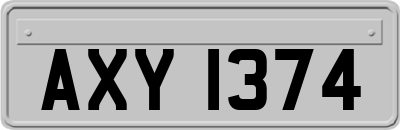 AXY1374