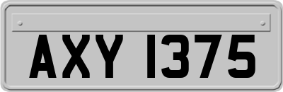 AXY1375