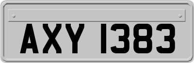 AXY1383