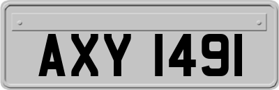 AXY1491