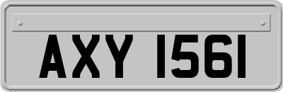 AXY1561
