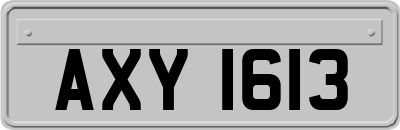 AXY1613