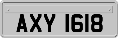 AXY1618