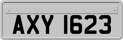 AXY1623