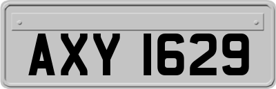 AXY1629