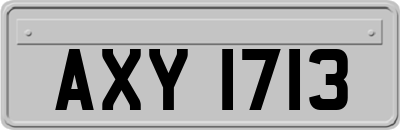 AXY1713