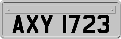 AXY1723