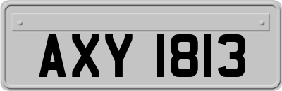 AXY1813