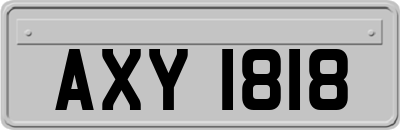 AXY1818
