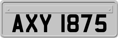 AXY1875