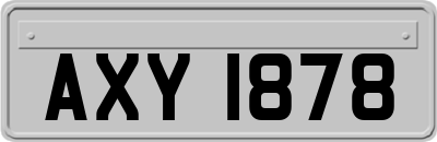 AXY1878