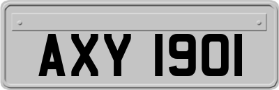AXY1901