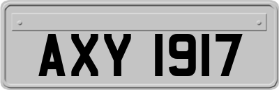 AXY1917