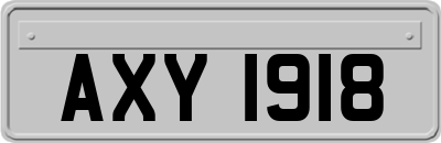 AXY1918