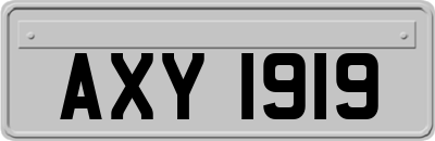 AXY1919