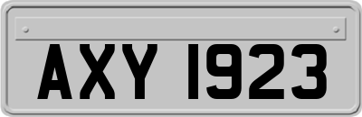 AXY1923